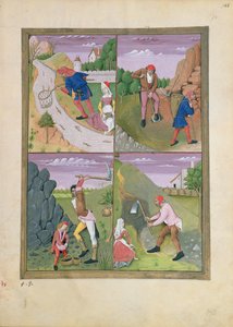 Ilustración del Libro de Medicinas Simples de Mattheaus Platearius 143r de Robinet Testard
